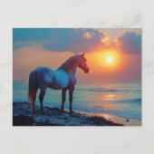 海辺で夕日を眺める馬 ポストカード (正面)