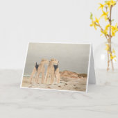 海辺で恐怖を抱く カード (黄色い花)