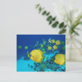 海辺で泳ぐ蝶の群 ポストカード (スタンド正面)