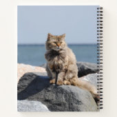 海辺で風に吹かれるかわいい猫の写真 ノートブック (裏面)
