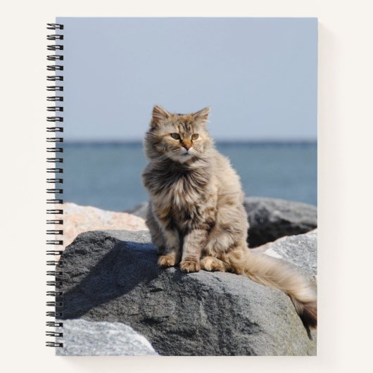 海辺で風に吹かれるかわいい猫の写真 ノートブック (正面)