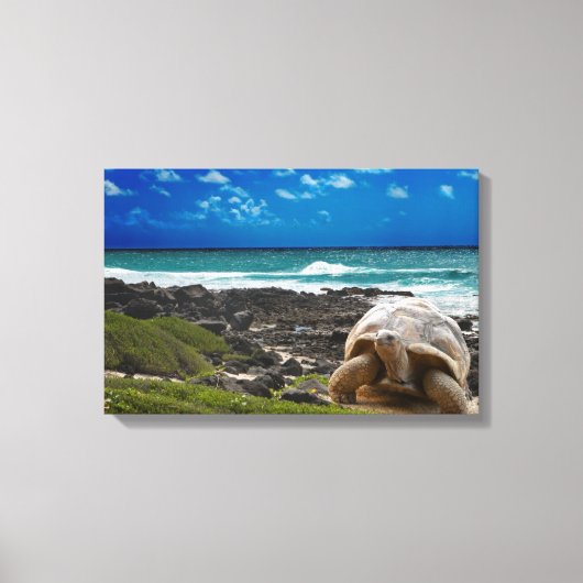 海辺に大きな亀 キャンバスプリント (正面)