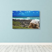 海辺に大きな亀 キャンバスプリント (インサイチュ (ウッドフロア))