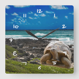 海辺に大きな亀 スクエア壁時計