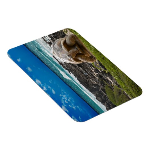 海辺に大きな亀 マグネット (右側)