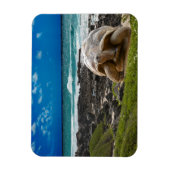 海辺に大きな亀 マグネット (縦)