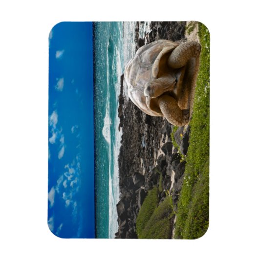 海辺に大きな亀 マグネット (縦)