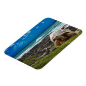 海辺に大きな亀 マグネット (左側)