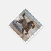 「海辺のおもしろい:海遊のコクカースパニエル犬 スタンダードカクテルナプキン (角)