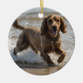「海辺のおもしろい:海遊のコクカースパニエル犬 セラミックオーナメント (正面)