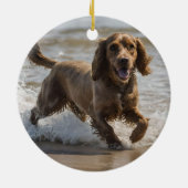 「海辺のおもしろい:海遊のコクカースパニエル犬 セラミックオーナメント (裏面)