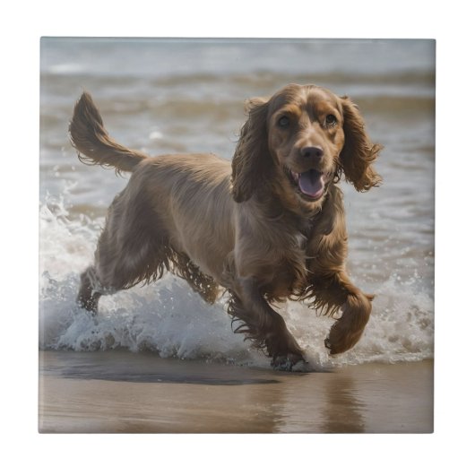 「海辺のおもしろい:海遊のコクカースパニエル犬 タイル (正面)