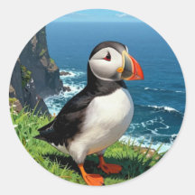海辺のツノメドリのイラスト 