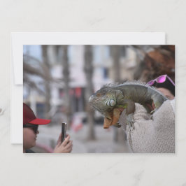 海辺のパフォス葉書に髭の竜 招待状