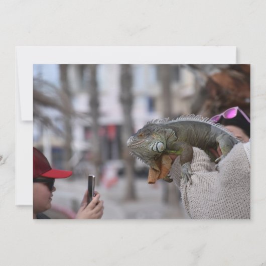 海辺のパフォス葉書に髭の竜 招待状 (正面)