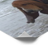 海辺のポスターバセット ポスター (角)