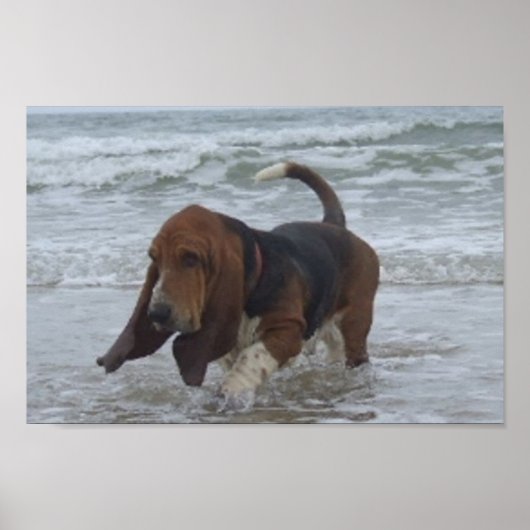 海辺のポスターバセット ポスター (正面)