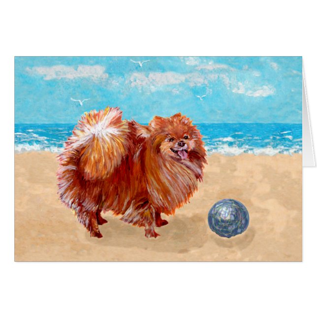 海辺のポメラニアン (正面横)