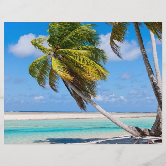 海辺のヤシの木 チラシ (正面)