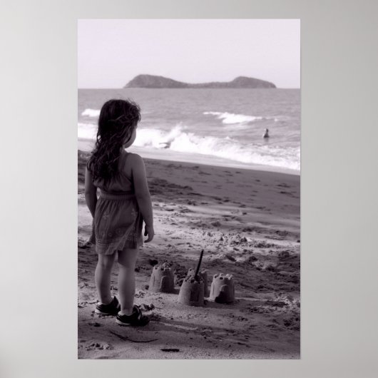 海辺の城 ポスター (正面)