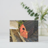 海辺の家からの眺め ポストカード (スタンド正面)