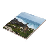 海辺の岩の上のワラビー、セラミックタイル タイル (側面)