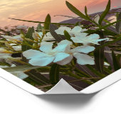 海辺の旅行写真 ポスター (角)