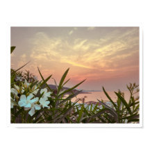 海辺の旅行写真