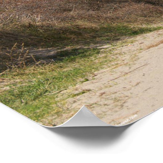 海辺の景色 ポスター (角)