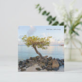 海辺の木 Still Here 励まし カード (スタンド正面)