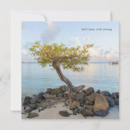 海辺の木 Still Here 励まし カード