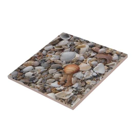 海辺の海岸 タイル (側面)