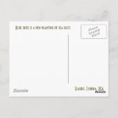 海辺の海水浴場 ポストカード (裏面)