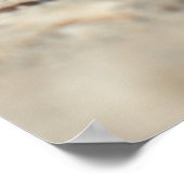 海辺の砂の上の貝殻 ポスター (角)