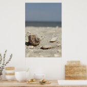 海辺の砂の上の貝殻 ポスター (キッチン)