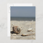 海辺の砂の上の貝殻 ポストカード (正面/裏面)