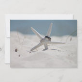 海辺の結婚バンドをテーマにしたフォトウェディングイベント 招待状 (裏面)