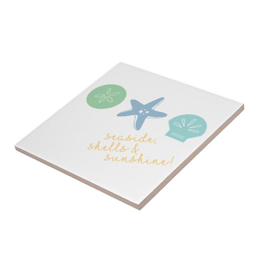 海辺の貝 タイル (側面)