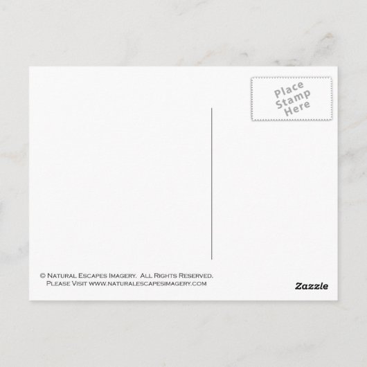 海辺の雀 ポストカード (裏面)