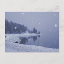 海辺の雪の日のポストカード