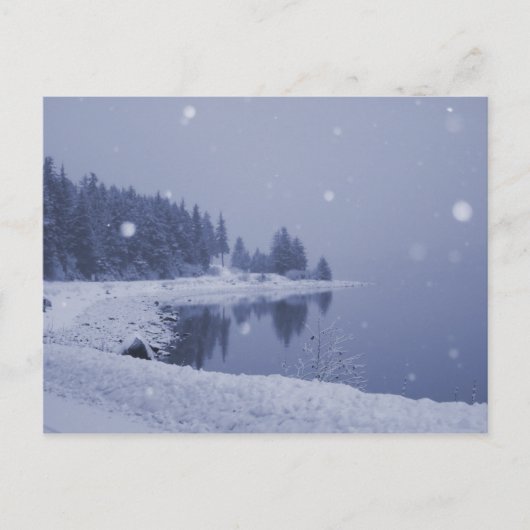 海辺の雪の日のポストカード ポストカード (正面)
