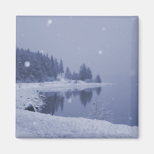 海辺の雪景色マグネット マグネット (正面)