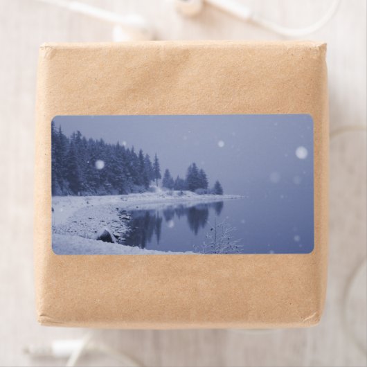 海辺の雪 ラベル (インサイチュ)