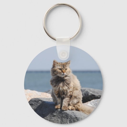 海辺の風に吹かれたかわいい猫の写真 キーホルダー (正面)