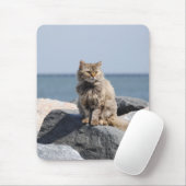 海辺の風に吹かれた猫のかわいい写真 マウスパッド (マウス)