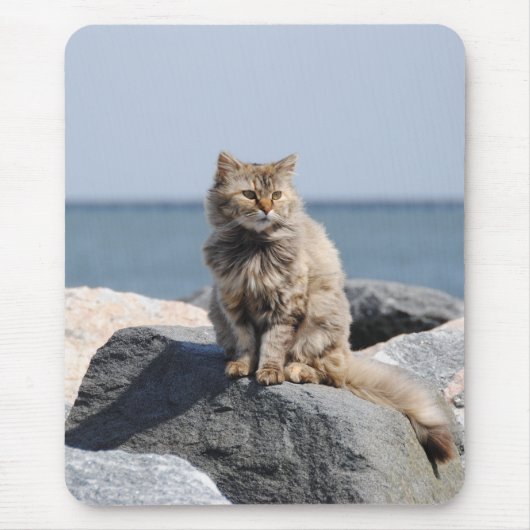 海辺の風に吹かれた猫のかわいい写真 マウスパッド (正面)