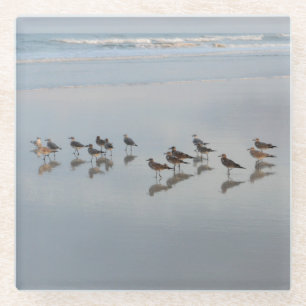 海辺の鳥 ガラスコースター