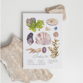 海辺はがき シーズンポストカード