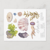 海辺はがき シーズンポストカード (正面)