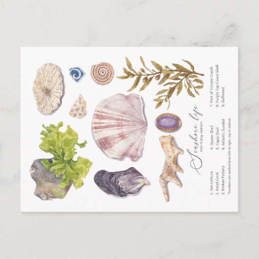 海辺はがき シーズンポストカード (正面)